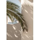 Venture Home poster Palmleaf 70 × 100 cm, bež | shoptok.hr