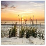 ProArt Young Living Slika na platnu (Lonely Dune, Š x V: 50 x 50 cm) | Shoptok.si