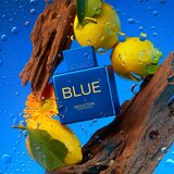 BANDERAS Blue Seduction toaletna voda za moške 100 ml | Shoptok.si