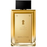 BANDERAS The Secret Absolu parfemska voda za muškarce 100 ml | shoptok.hr
