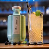 Berryshka London Dry Gin 0,7L | Shoptok.si