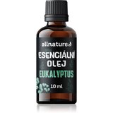 Allnature Essential Oil Eucalyptus eterično olje za podporo zdravja dihal 10 ml | Shoptok.si