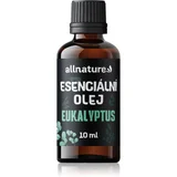 Essential Oil Eucalyptus eterično olje za podporo zdravja dihal 10 ml