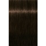 Schwarzkopf Professional IGORA Royal barva za lase odtenek 4-46 60 ml | Shoptok.si