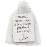  Sv. Avguštin Š12462 Magnet | Shoptok.si