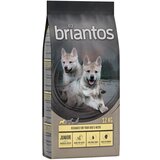 briantos Varčno pakiranje: - Junior piščanec & krompir - BREZ ŽIT (2 x 12 kg) Cene