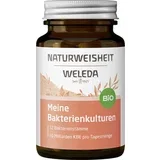 Bio prehransko dopolnilo z bakterijskimi kulturami - Bio Naturweisheit "Meine Bakterienkulturen"