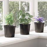  Lonac za cvijeće 200 pcs Crna Ø 15 x 13 cm Plastika | shoptok.hr