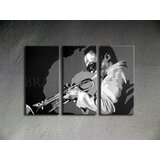  Ročno izdelana slika POP Art Miles Davis 3-delna (POP ART) | Shoptok.si