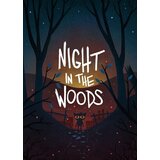 Steam Night in the Woods Key GLOBAL Steam Night in the Woods Key GLOBAL Slike