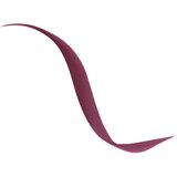 Dior show Liquid Liner tekoče črtalo v peresu vodoodporno odtenek 881 Satin Burgundy 0.55 ml | Shoptok.si