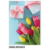  Voščilnica klasika kl 200002ps24-r12 PROMOCIJA | Shoptok.si