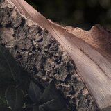 Chloé Rose Naturelle parfemska voda za ponovo punjenje 100 ml za žene | shoptok.hr