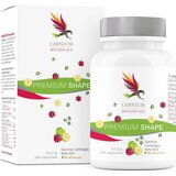 Premium Shape - 60 kaps. Cene
