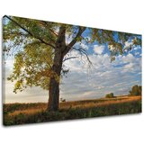  Slike na platnu drveće (moderne slike na platnu) | ePonuda.com