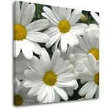  Slike na platnu cveće (moderne slike na platnu) | ePonuda.com