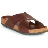 Dream in Green AGAVE Smeđa | shoptok.hr