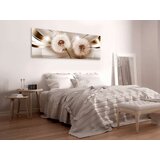  Slika - Two Dandelions (1 Part) Narrow 120x40 | shoptok.hr
