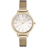 Paul Lorens Ura PL11760B3D1 pisana | Shoptok.si