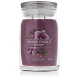 Yankee Candle Signature Wild Orchid 567 g dišeča svečka | Shoptok.si
