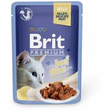 BRIT Premium by Nature Brit Premium Cat Delicate Fileti u želeu sa govedinom 85 g kesica Cene