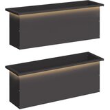  Vrtna posuda za sadnju s LED svjetlom 2 kom. Crna - Crna 30 x 100 x 30 cm 2 | shoptok.hr