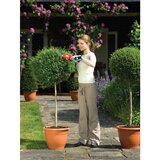 Black & Decker akumulatorke škarje za živo mejo 3,6 V Black&amp;Decker GSL300 Cene