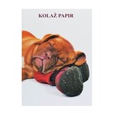 Elisa Kolaž papir pas s cipelom, 20 listova | shoptok.hr