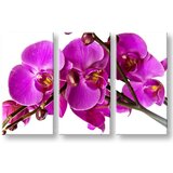  Slike na platnu cveće | ePonuda.com
