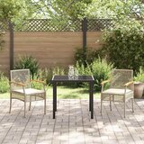  Vrtni set za objed s jastukom 3 pcs Bež i crna Ratan | shoptok.hr