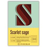 Piccolo Seeds S - Scarlet sage - škrlatna kadulja - 1 pkt. Cene