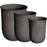 DBKD OUT STRIPE 3-delni set - brown | Shoptok.si