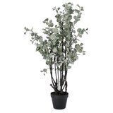  BILJKA EUKALIPTUS 110CM ZELENA Cijene