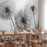  Foto tapeta - Time for Dandelions - Second Variant 200x140 | shoptok.hr