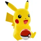 Govornik Pikachu, (21327997)