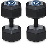 Iron SPORT bučice set 24kg, Hex tegovi, 2x12kg cene