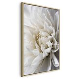  Slika - White Dahlia 80x120 | shoptok.hr