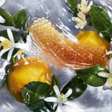 Guerlain Aqua Allegoria Nettare di Sole toaletna voda punjiva za žene 125 ml | shoptok.hr
