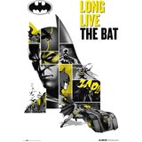 DC Comics PLAKAT BATMAN 80 OBLETNICA, (20837412) | Shoptok.si