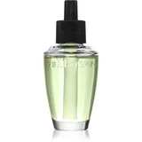 Whipped Honey & Vanilla nadomestno polnilo za aroma difuzor 24 ml