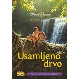 Marija Papajani - Usamljeno drvo