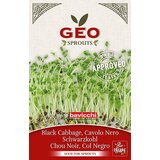 Bavicchi Črno zelje - 6 g | Shoptok.si