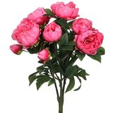  Umjetna biljka Božur (Visina: 55 cm, Roze boje, Plastika) Cijene