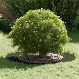  Pogodno za ravni drveni prsten Maslinovo zelena Ø50 / 80 cm Čelik | shoptok.hr