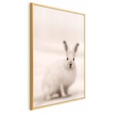  Plakat - Fearful Look 60x90 Zlatni okvir | shoptok.hr