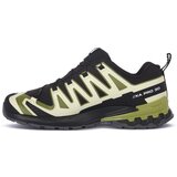 Salomon Pohodništvo Xa Pro 3d V9 Gtx pisana | Shoptok.si