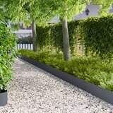  Ograda oko Travnjaka 10 kom. 100 x 25 cm Čelik Antracit | shoptok.hr