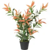 umetna rastlina plastika, cement 45D x 45Š x 90V cm rdeče+zeleno, (5000242203)