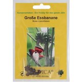 TROPICA Velika banana Cene