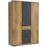 Boxxx omara s klasičnimi vrati, barve grafita, barve hrasta | Shoptok.si